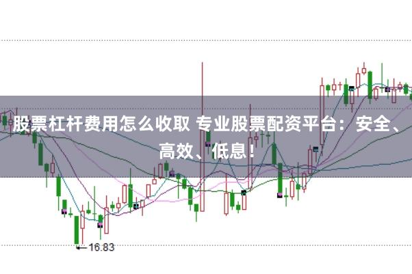 股票杠杆费用怎么收取 专业股票配资平台：安全、高效、低息！