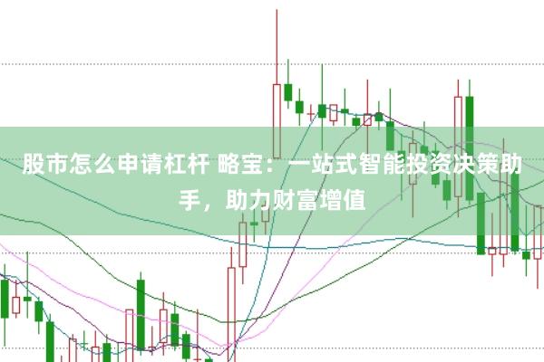 股市怎么申请杠杆 略宝：一站式智能投资决策助手，助力财富增值