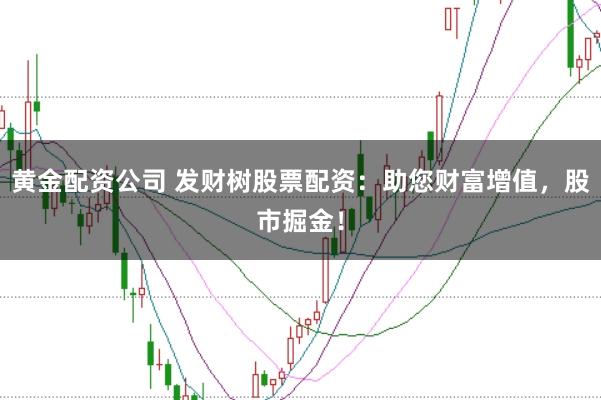 黄金配资公司 发财树股票配资：助您财富增值，股市掘金！