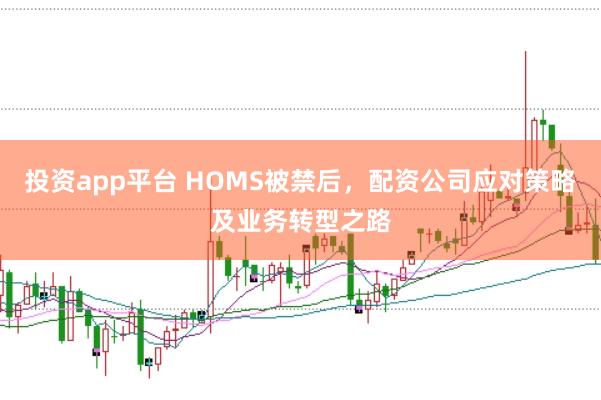 投资app平台 HOMS被禁后，配资公司应对策略及业务转型之路