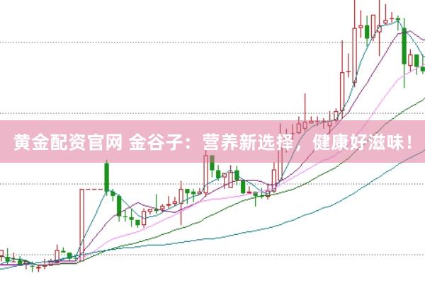 黄金配资官网 金谷子：营养新选择，健康好滋味！