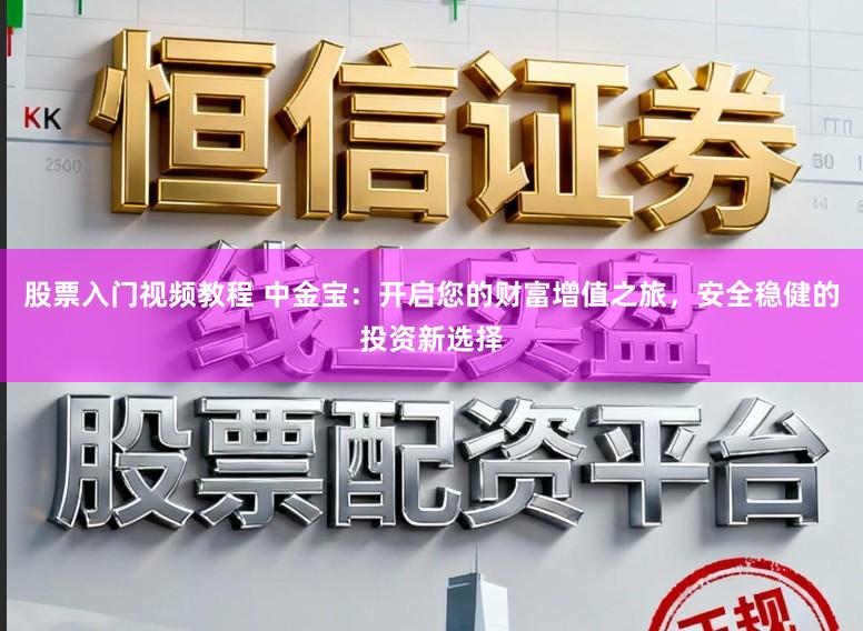 股票入门视频教程 中金宝：开启您的财富增值之旅，安全稳健的投资新选择