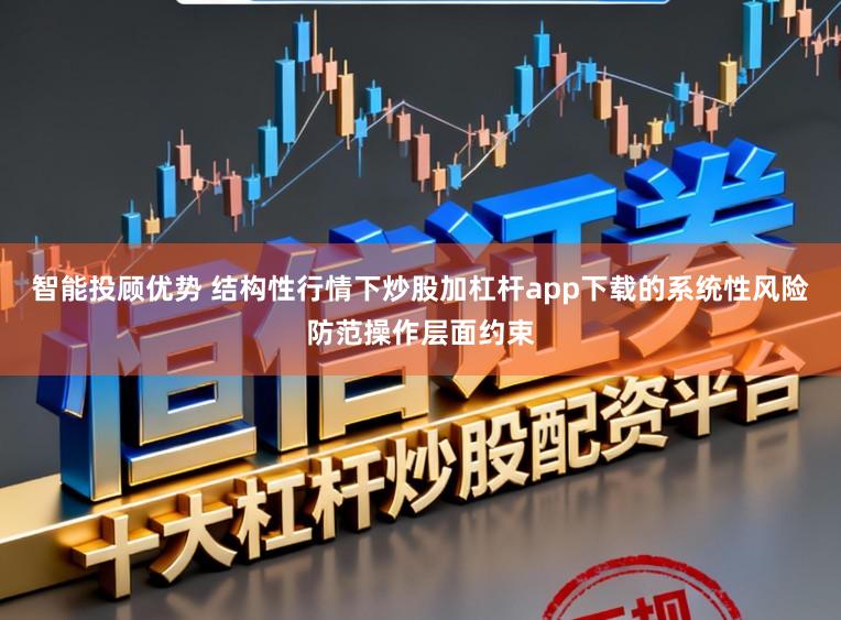 智能投顾优势 结构性行情下炒股加杠杆app下载的系统性风险防范操作层面约束